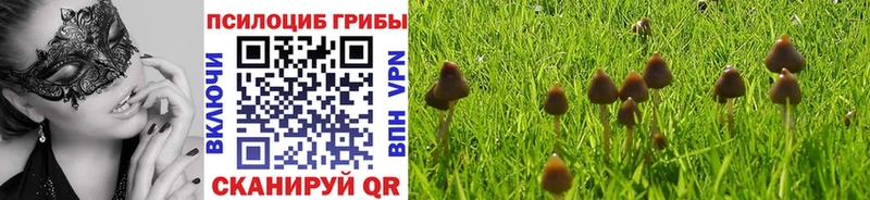 Псилоцибиновые грибы прущие грибы  Бабушкин 